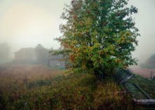 Деревня в утреннем тумане... / утро туманное