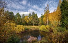 Мой маленький плот... / На маленьком плоту Сквозь бури, дождь и грозы, Взяв только сны и грёзы, И детскую мечту, Я тихо уплыву, Лишь в дом проникнет полночь, Чтоб рифмами наполнить Мир, в котором я живу.