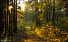 В золотом / Времена года