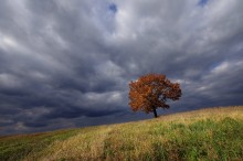 Осенние контрасты / .....