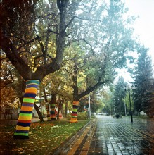 &nbsp; / Ikoflex,Kodak Portra 160NC