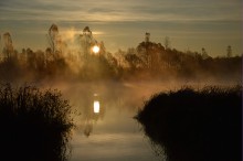 Туманный рассвет / Утро 19 октября 2014 на окраине Гомеля.