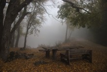 Тишина / Демерджи, озеро, осень, туман