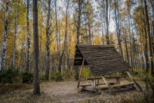 В ожидании гостей / ***