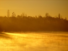 Морозное утро в желтых тонах / Рассвет на окраине Гомеля.