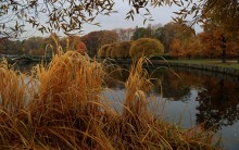 Пасмурно и красочно... / Осень в московских парках.