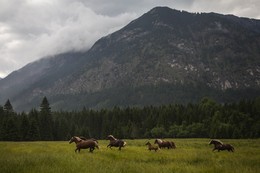 Где то в Альпах / Где то в Альпах