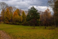 Осенний этюд! / ***