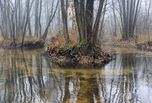 В дебрях Стохода / Четыре времени года на реке Стоход http://tourist.kharkov.ua/xtreport/0-Chotiri-pori-roku-na-Stohodi