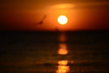 Сонный... / Черное море, г. Одесса. Восход солнца, 07:00