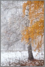Зима наступает 2 / Неожиданно в октябре выпал снег. Снято в Башкирии.