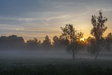 Утро туманное / ранее июньское утро в Подмосковье