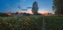 Северная белая ночь. / в парке Павловск.