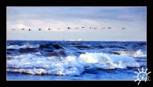  / Jurmala