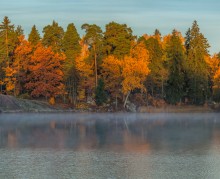 Осенний вид. / Выборг. Парк Монрепо.