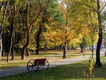 Осенняя тишина парка / г. Гомель, парк Фестивальный