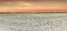 Заснеженные поля / Заснеженные поля в зимний период
