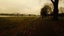 Сказочный Кёльн / аллея Вейнденвег близ парка Грюнцуг-Поль, юго-восточный правый берег Рейна. Одинокий велосипист. Вдали за мостом через Рейн виднеется Кёльнский Дом (Kölner Dom)