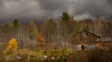 Manon's farm / Gatineau