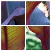 Фотопазлы. Модель для сборки / ***