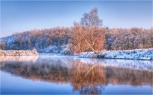 Начало зимы / Природа Беларуси