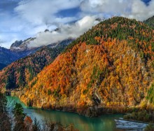 Осенний лес на склонах гор. / Абхазия, озеро Рица.