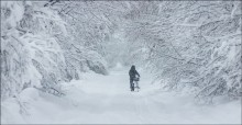Портал / Очень много снега,не обычное явление в этом году!)
