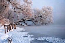 Утро морозного дня / река Воронка в Тульской обл.