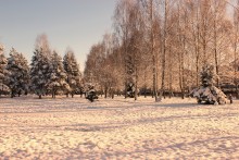 Зимний вечер / последний снег 2014 года