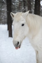 Забавная.. / ...