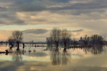 Flood in my region. / ***