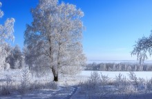 Уголок России / зима