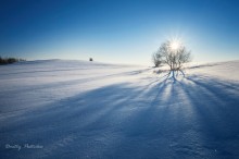 Мороз и Сонце... / Зимний пейзаж среди бескрайних полей Ярославской области.