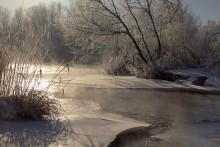Морозное утро Gipanisa. / Южный Буг. Национальный природный парк &quot; Бугский Гард.&quot; Украина.