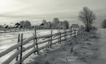 Деревенская околица... / Вологодская область, январь 2014 года...