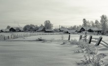 Деревенская околица... / январь 2014 года, Вологодская область