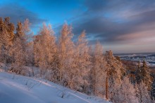 На рассвете / Рассветные лучи