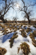 &nbsp; / Краснодарский край. Динской район