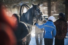 Масленица / Катание в санях не только веселое занятие, но и нехилый труд для животного)
