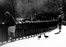 Пятничный пересвет / Кто-то ещё ищет, а кто-то уже нашёл друг друга