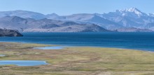 Утро / Озеро Цо Морири, 4595 м над уровнем моря. Западный Тибет. Ладакх, Индия.