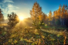 Краски осени. / Осень, туман и солнышко старались...