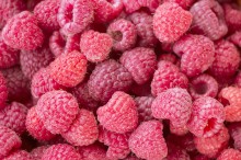 Sweet raspberries / Свежая малинка