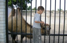   / zoo
