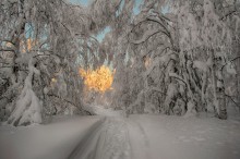 Дорога в сказку / Зимний вечер