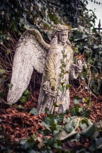 Хранитель / Кутна Гора, Чехия
Ангел на кладбище Костехранилища