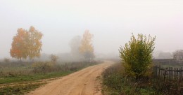 осень в деревне / проселочная дорога в тумане