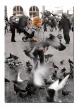 Любовь и голуби / Осень в Кракове. Тысячи голубей поднимаются в воздух.Все звенит от их трепета их крыльев.