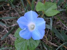 А ведь впереди зима! / 19 октября