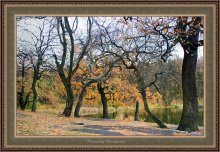 Очей очарование / Очей очарование